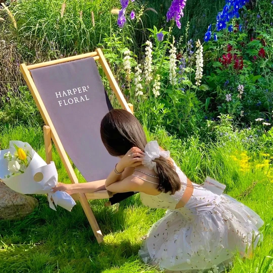 卷王后宅晋升记